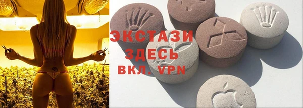 дмт Алзамай