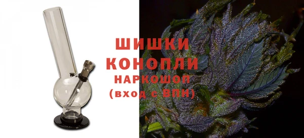 дмт Алзамай