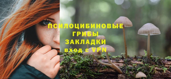 не бодяженный Алексин