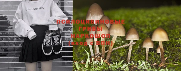 дмт Алзамай