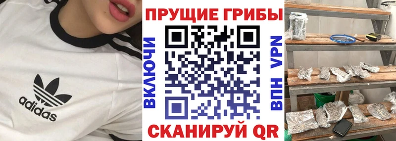 где продают   Мураши  Галлюциногенные грибы мицелий 